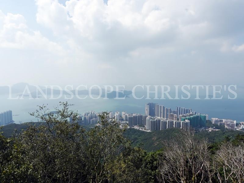 The Peak Real Estate and Apartments for Rent Christie's