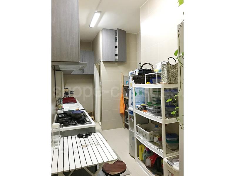 Robinson Garden Apartment Midlevels West Landscope Realty Limited