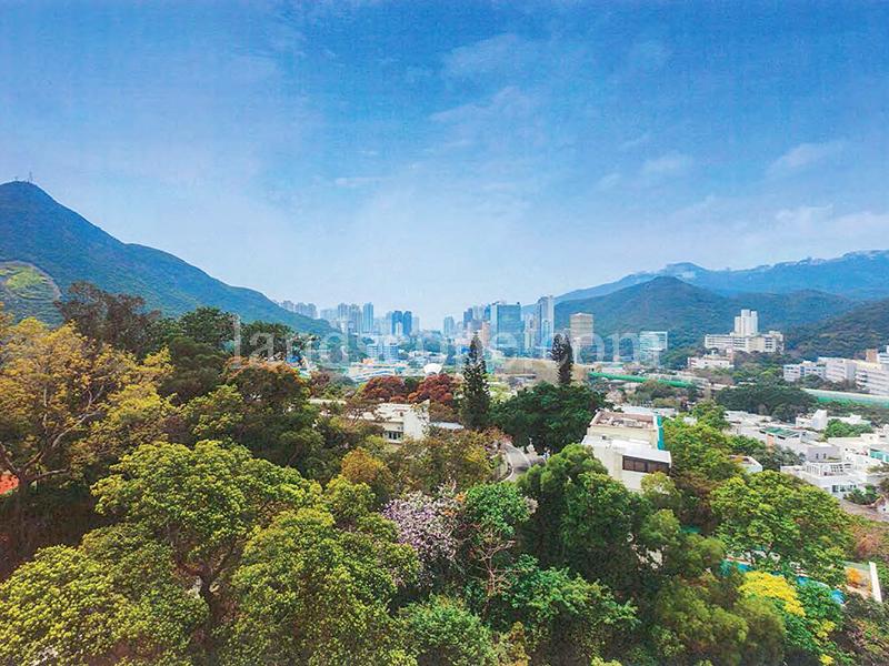 22A-C Shouson Hill Road